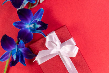 Top view of Decorated red gift box with white ribbon and Blue orchid flowers on red background with copy space