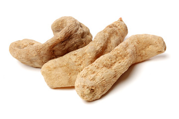 Gastrodia elata on white background