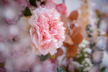 Flower frame Backgrounds textures,Wedding flowers,Decoration made of roses and hydrangea flower.
