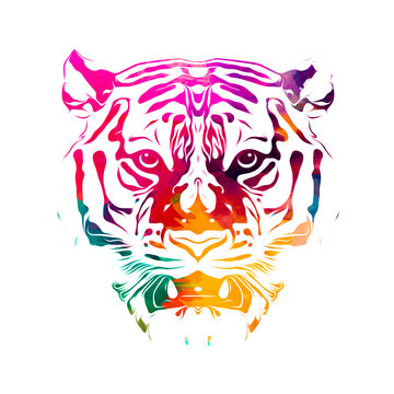 Abstract creative illustration with colorful tiger 