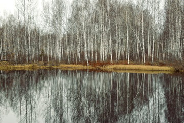 Reflection of autumn in the pond.