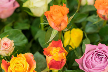 Bright multicolored bouquet of roses. Natural flowers background, soft focus. Colorful roses flower background, group of multicolor rose make from clay, handmade product