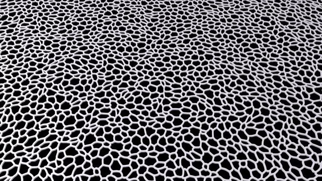 4k Abstract organic voronoi structure with depth of field effect. Blurred background with many cells on dark surface. Chaotic smooth line structure. 3d rendering