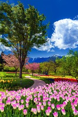 長野県・安曇野市 春の国営アルプスあづみの公園の風景