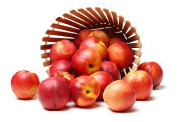 nectarine on a white background