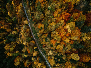 Beautiful Colorful Autumn Forest from above with a small road