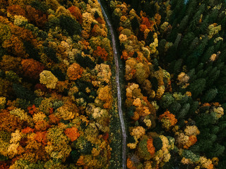 Beautiful Colorful Autumn Forest from above with a small road