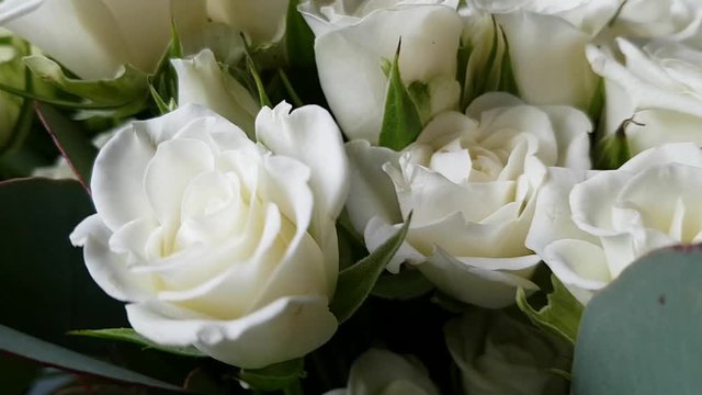 Bouquet of beautiful white roses. Wedding accessory. Gift for anniversary, birthday, mother's day, Valentine's day. The turn of the bouquet, the petals swaying in the wind