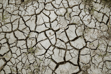 Top down view of cracked soil with dried grasses