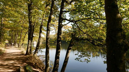 Fototapeta na wymiar Herbst am See