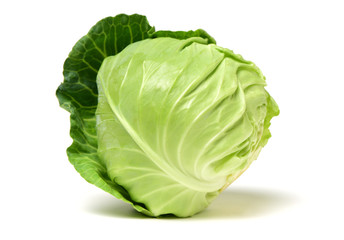 Fototapeta premium cabbage on white background