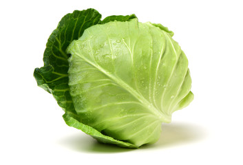 cabbage on white background