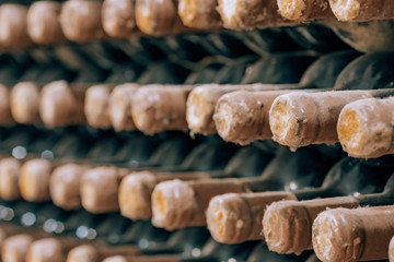 Wine bottles stacked up in old wine cellar close-up background