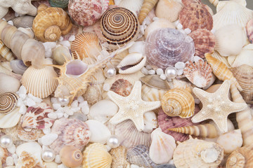 Seashells, pearls and starfishes as background