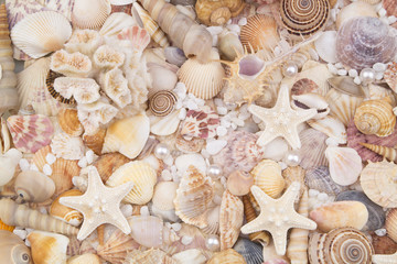 Seashells, pearls and starfishes as background