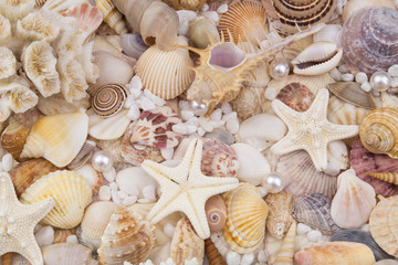 Seashells, pearls and starfishes as background