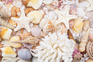 Seashells, pearls and starfishes as background
