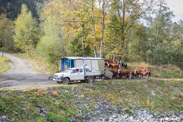 A mobile milking parlor in the French Alps - too far to to move cattle back to the farm