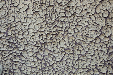 The cracks texture