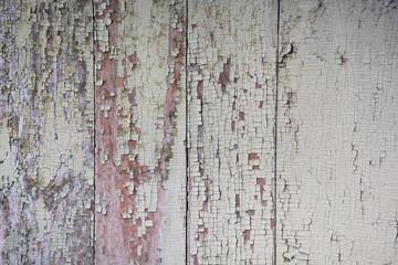 Texture of the old cracked paint