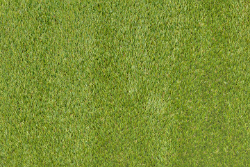 Grass Texture
