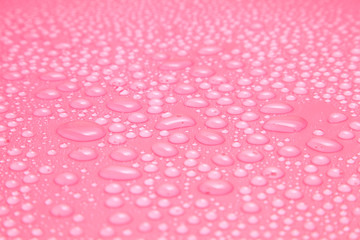 Close up water drops on pink background, Water drop in macro photography