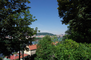 view from the top of the hill