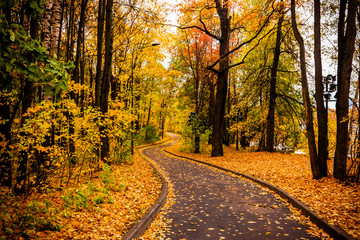 Obraz premium Cloudy day in autumn park.