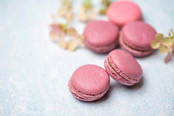 pink macaroons on a blue background with flowers