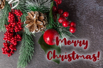 Christmas fir twig with berries on dark background with the insc