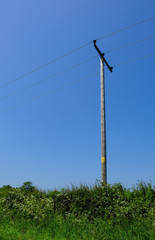 Wooden telegraph pole seen in isolation against a clear blue sky at the edge of a village.