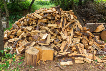 Pile of chopped woods