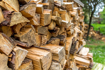 Pile of chopped woods