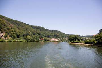 blick auf einen bewaldeten hügel am ufer des neckar in heidelberg deutschland fotografiert während einer  schiffstour an einem sonnigen Tag im Sommer