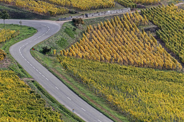 The Route des Vins (Wines Route) winds between vineyards of Alsace