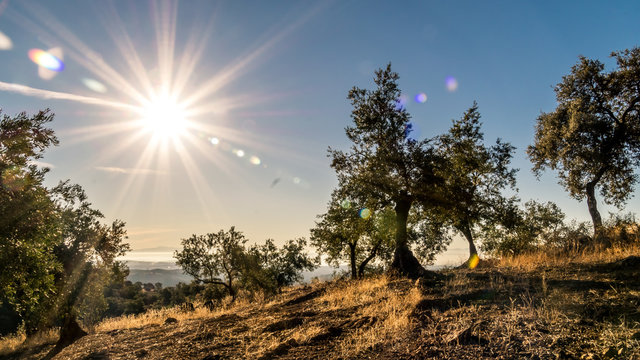 Amanecer En La Sierra De Adamúz, Andalucia