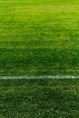 Detail of a soccer field with white line