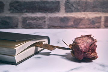 book with a dry red rose between its pages. horizontal