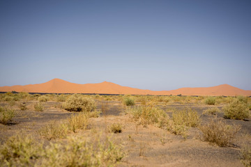 Fototapeta premium Desert landscape