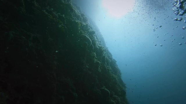 Large coral reef against the water surface