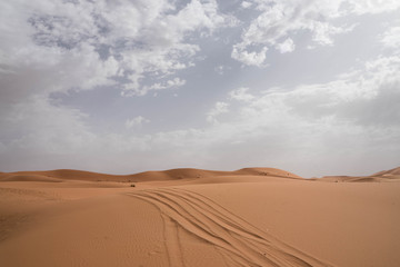 Fototapeta na wymiar Desert shapes