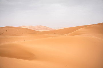 Fototapeta na wymiar Warm desert