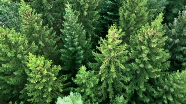 Feld, Wald und Wiesen - Kameraflug