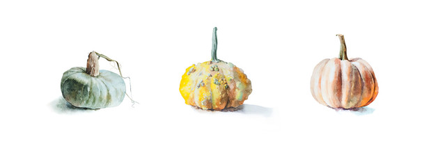 Autumn collection of pumpkins