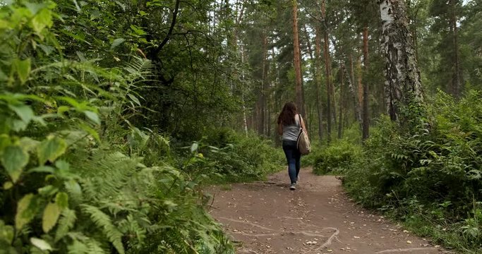 Wide trampled forest path tends to thicket of forest, girl with backpacker walks along path with her back to camera, traveler explore protected forest, national park, there is a lot of greenery around