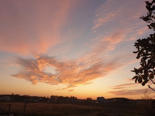 wonderful world around us