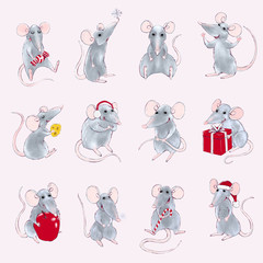 Colorful set with illustrations of rats. New year and Christmas characters. Can be used for as elemets for your design for greeting cards, calendars, prints