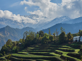 Rice terraces and a farmhouse amid the hills and the Annapurna massif with snow-capped peaks. Circular route around Annapurna