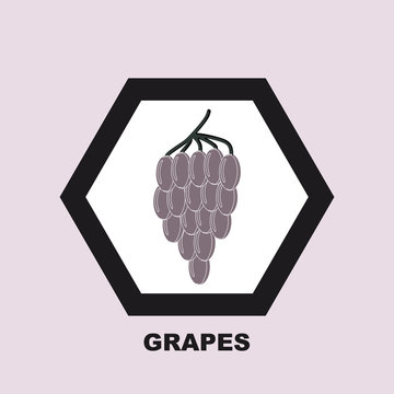 Vector illustration. Icon grapes in shades of gray.