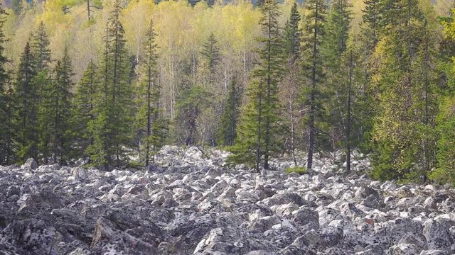 Taganay National Park in Russia in Autumn. "Big Stone River", Biggest Deposit Occurrence of Aventurine Quartz